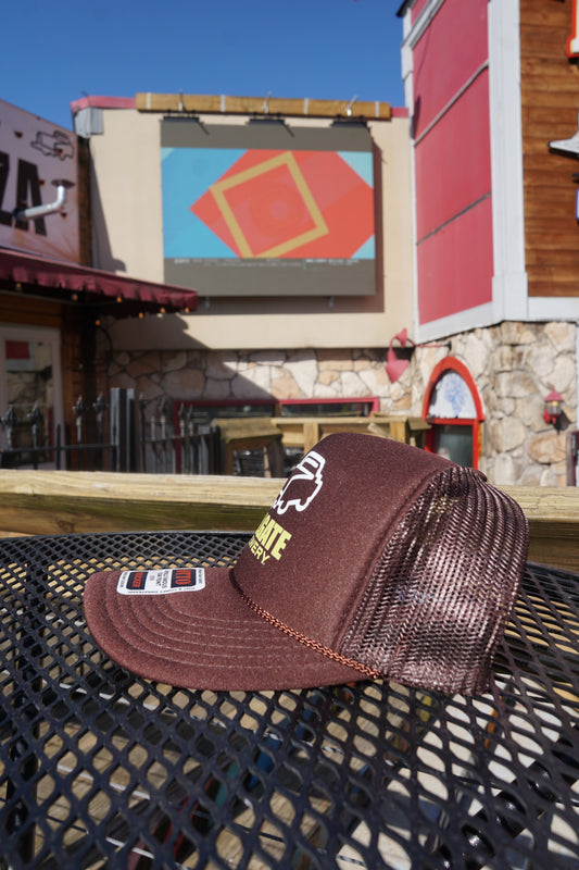 Otto Trucker Hat in Espresso