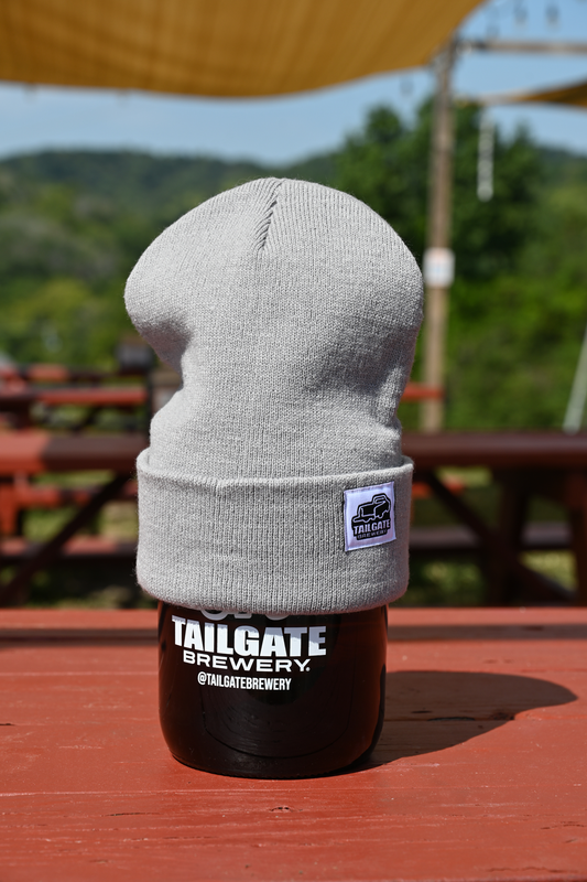 Truck Logo Beanie in Gray